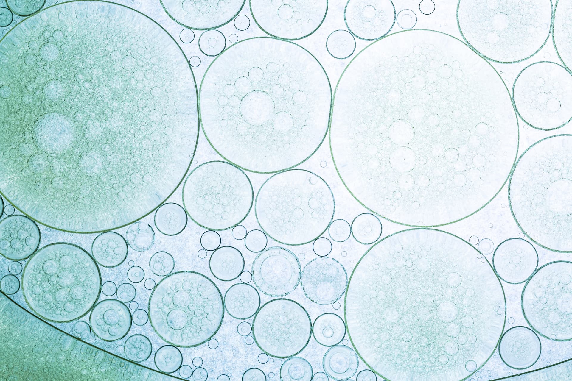 Abstract image of overlapping light green and blue translucent circles with bubble-like textures, creating a cellular appearance.