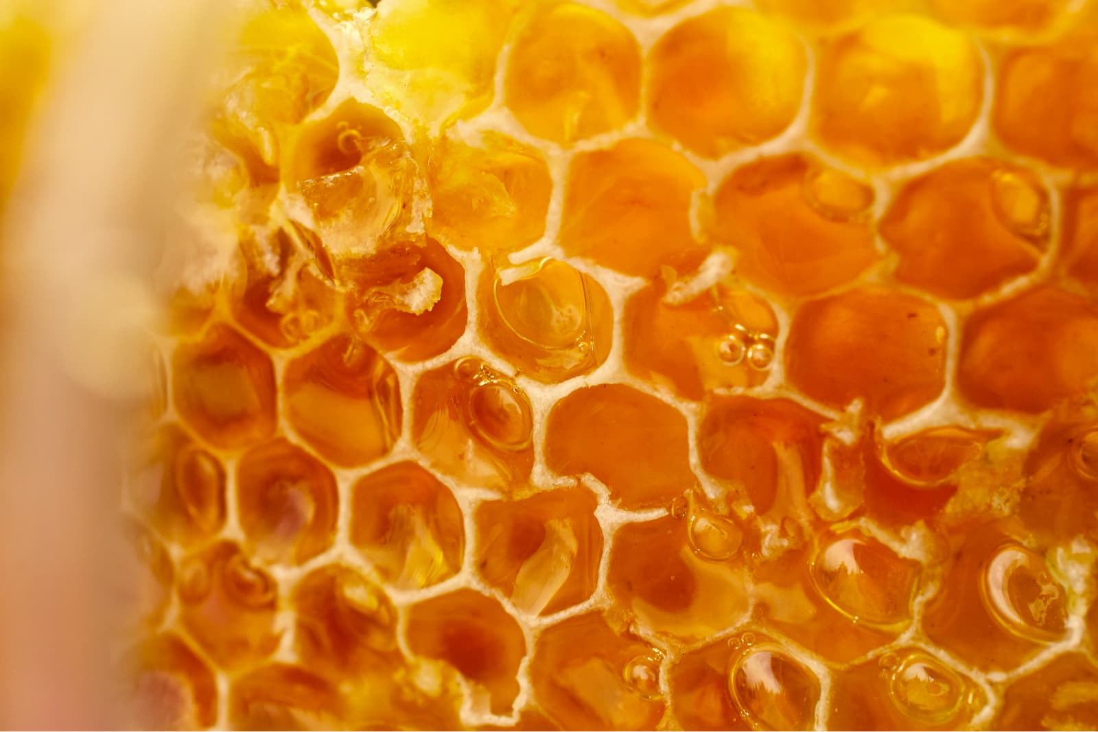 Close-up of honeycomb with golden honey, showcasing hexagonal cells filled with glistening, translucent amber liquid.