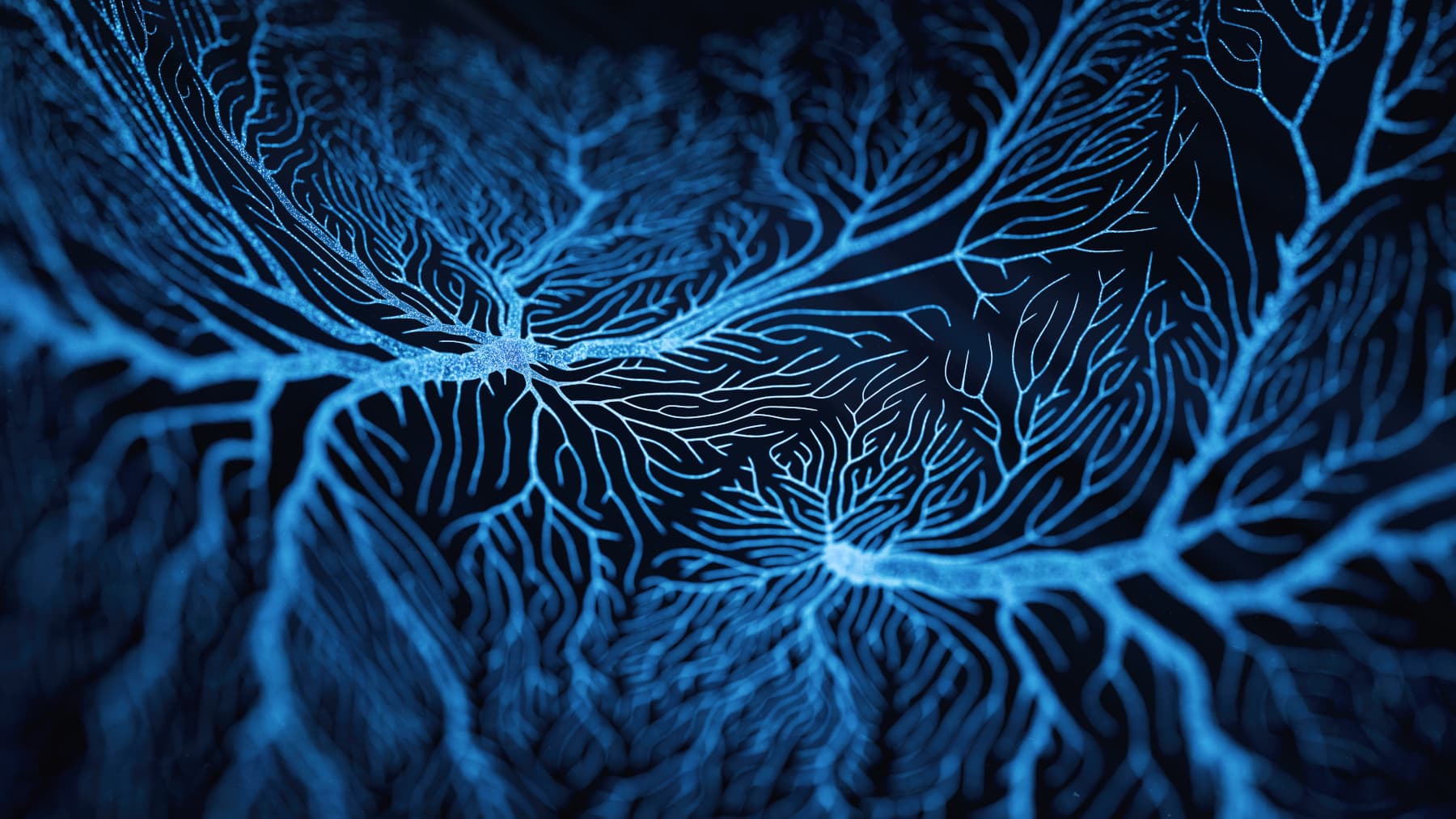 Abstract image of intricate, glowing blue branching patterns resembling neural networks or tree roots on a dark background.