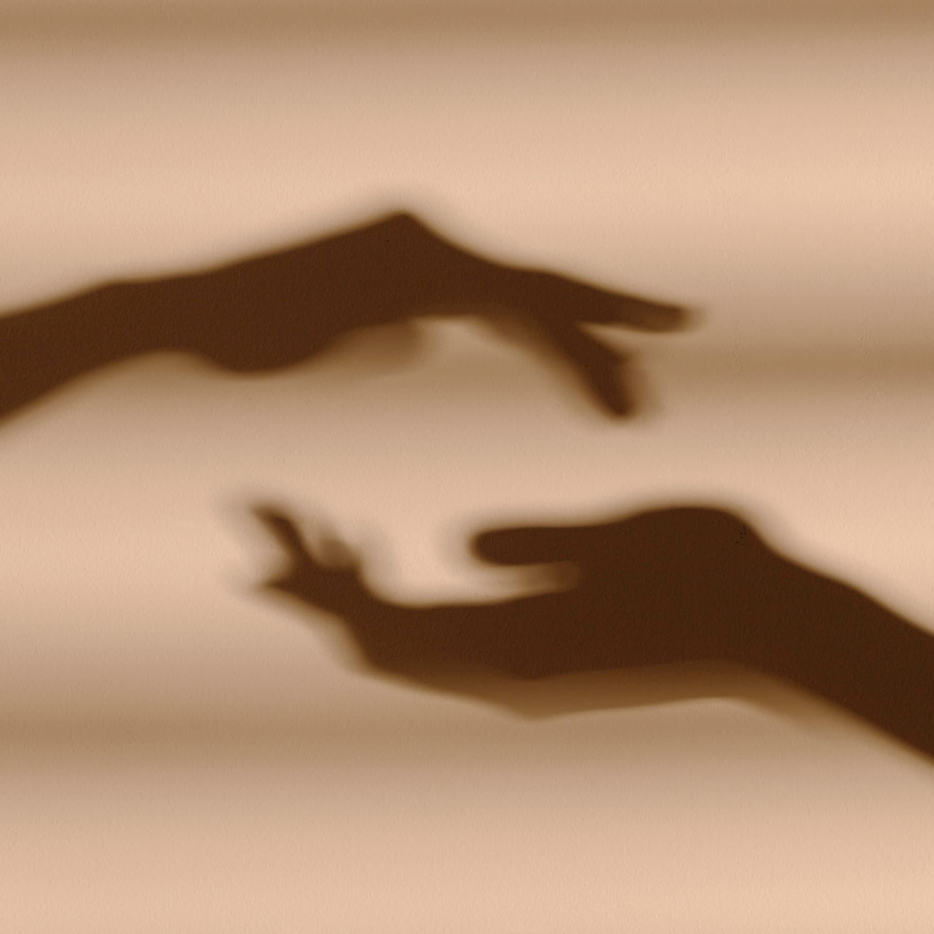 Silhouettes of two hands reaching towards each other against a soft, beige background.