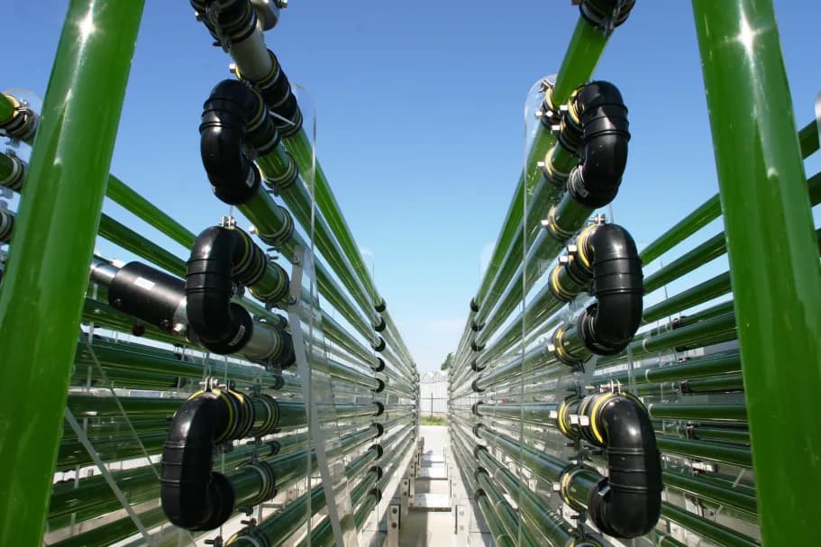 Rows of green tubes with black connectors, part of a photobioreactor system against a clear blue sky.