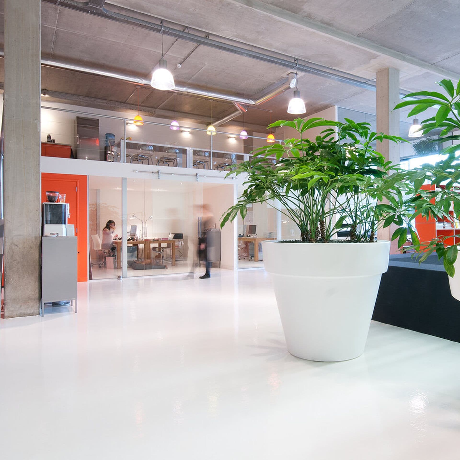 Office with plants