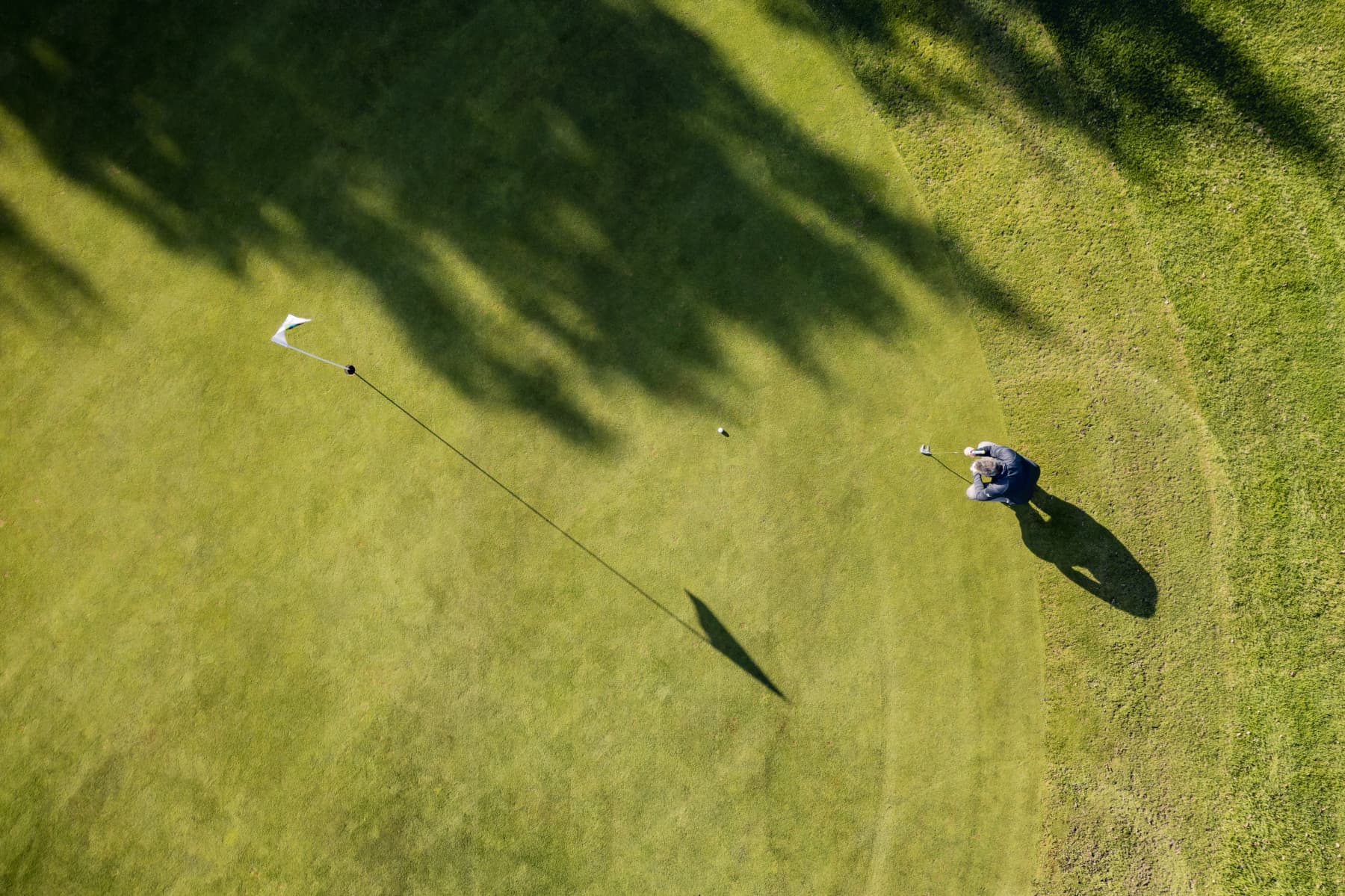 golf green from above