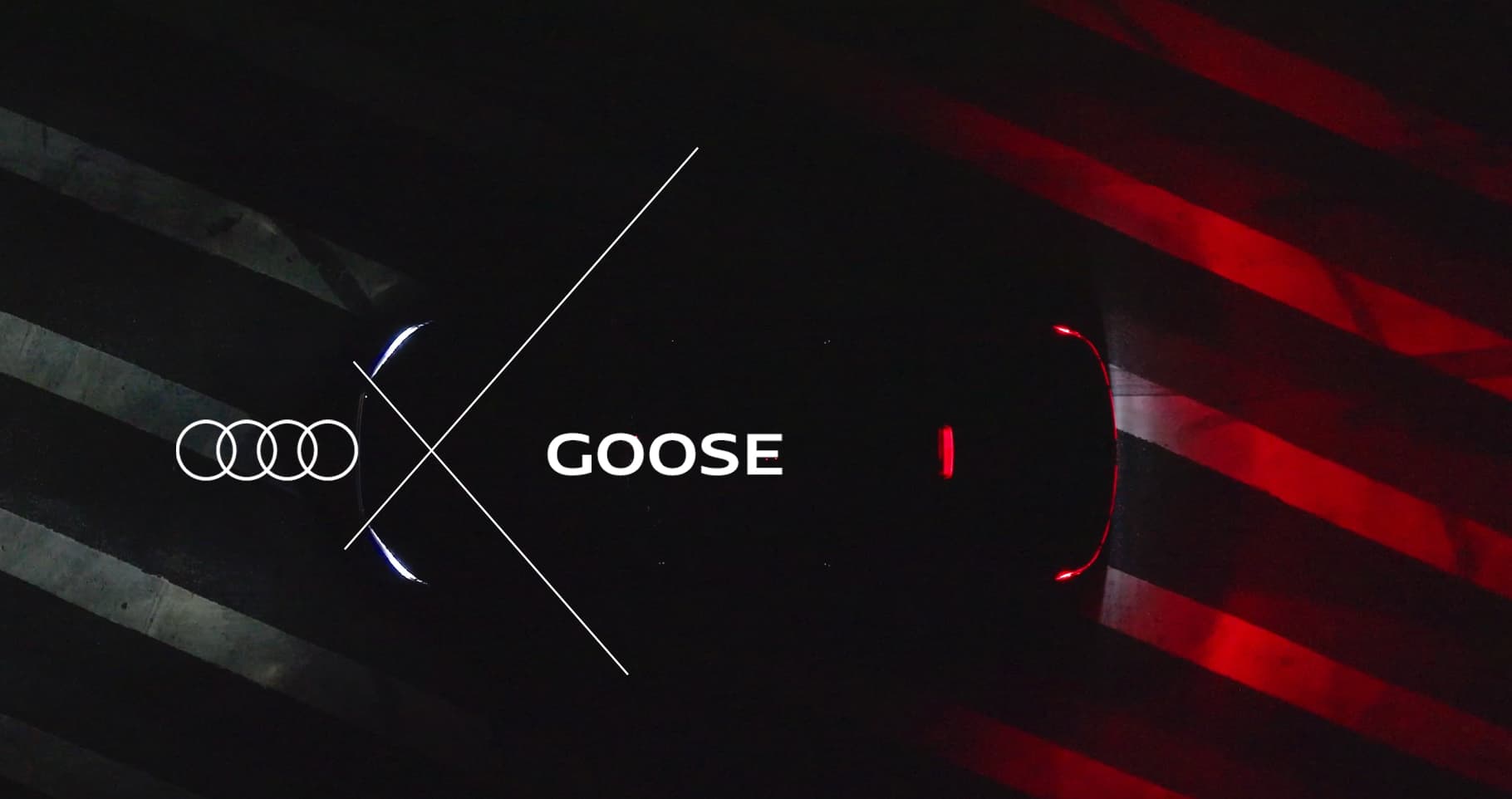 audi goose
