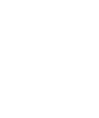HAVEP Logo