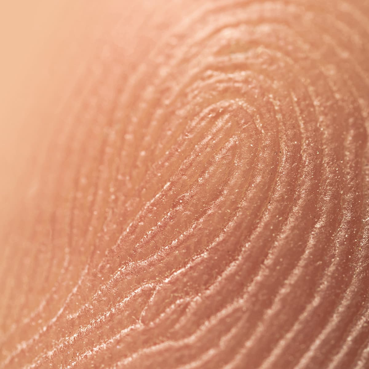 Close-up of a fingerprint with detailed skin texture and distinctive swirling patterns on a fingertip, highlighting the unique ridges and lines.