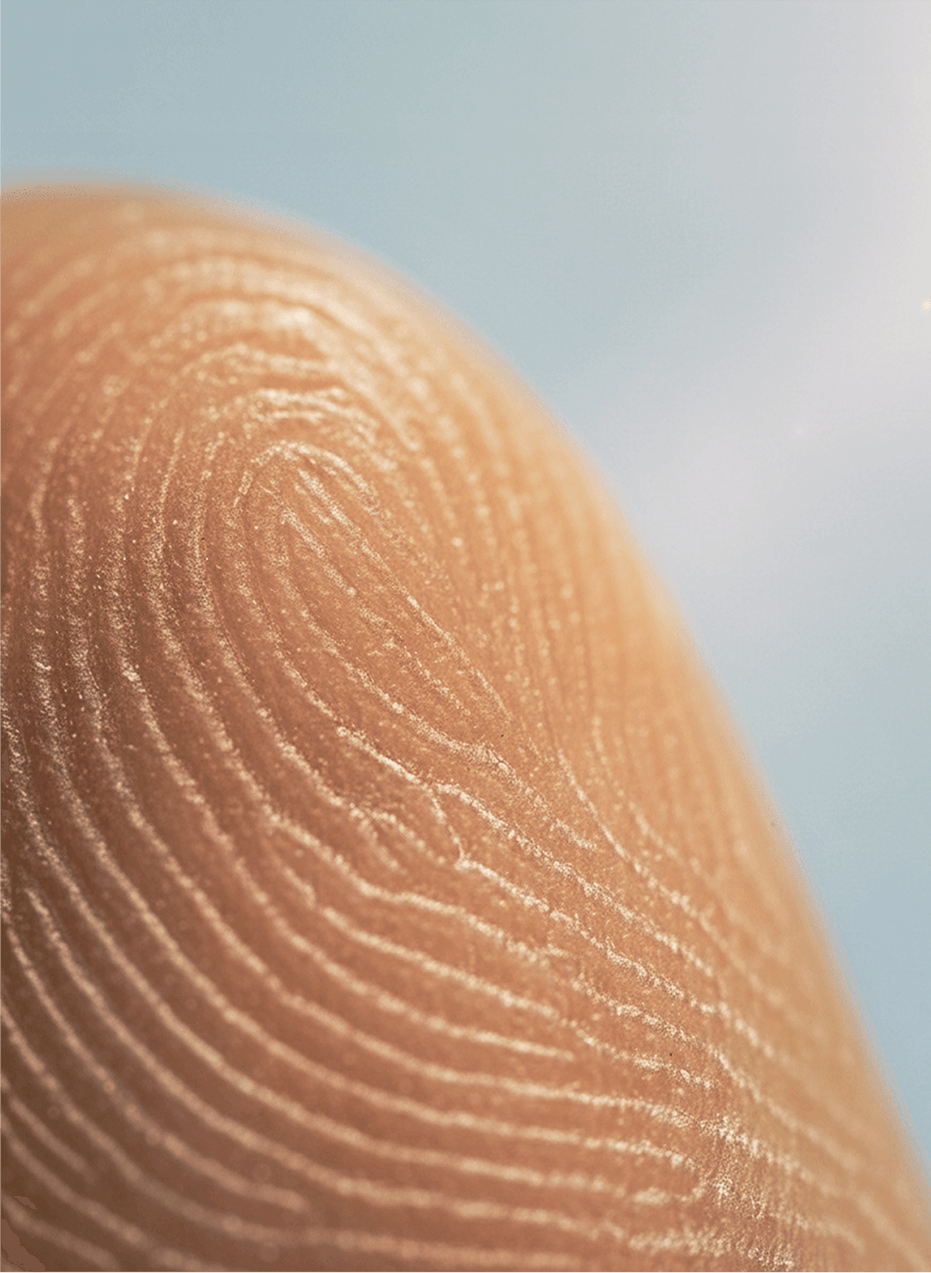 Close-up of a fingerprint on a fingertip, highlighting the unique ridge patterns against a soft blue background.