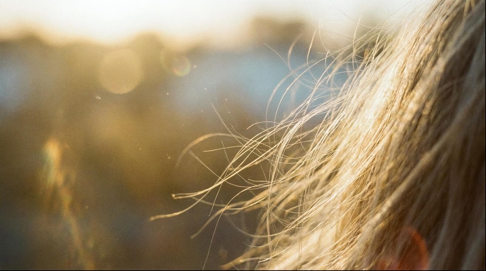 Close-up of light strands of hair in the foreground with a soft, blurred sunlit background, creating a serene, golden atmosphere.
