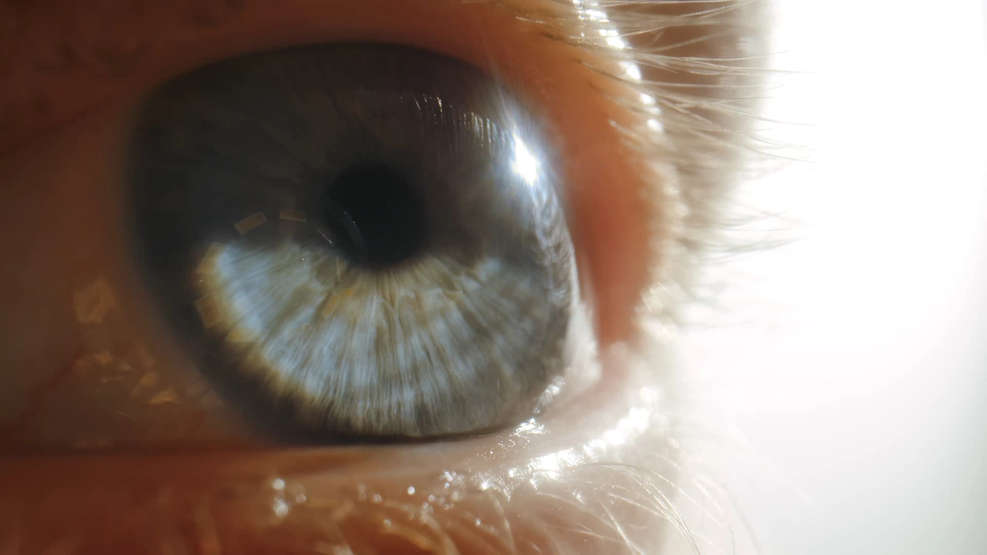 Close-up of a human eye with blue and green hues in the iris, surrounded by eyelashes and highlighted by bright light reflections.