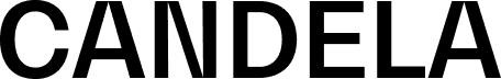 A stylized black silhouette of a duck in profile view, facing left, on a transparent background.